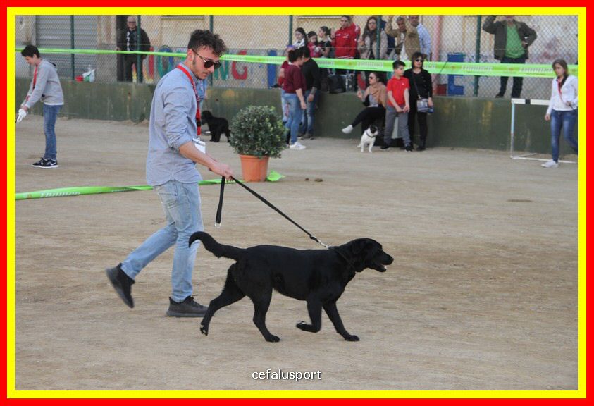 180311 mostra_canina 183.jpg
